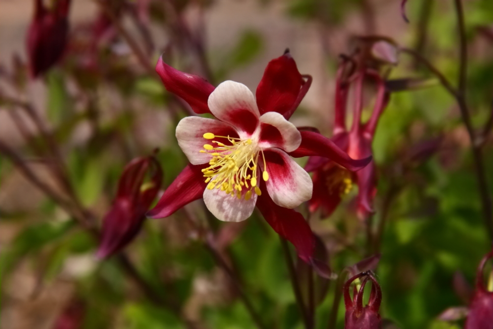2012 04 20 0396